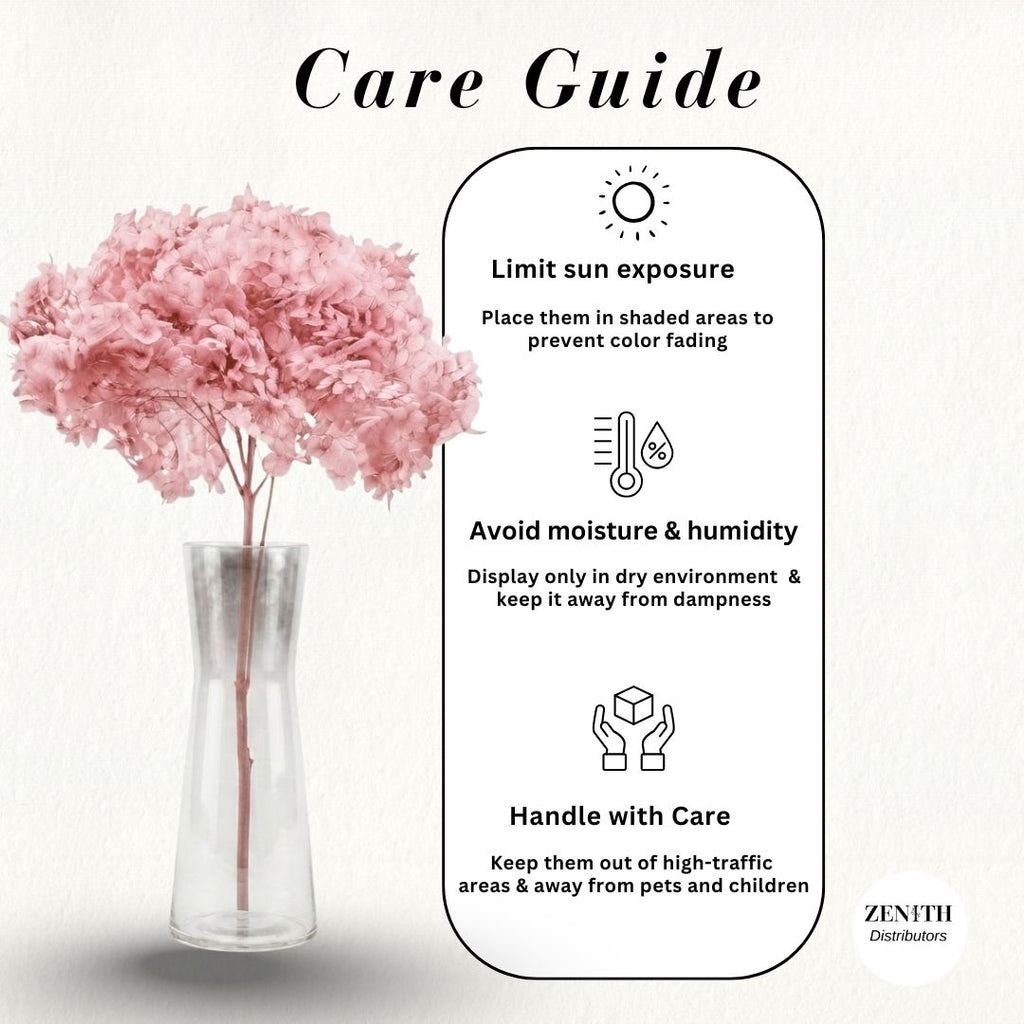 Hydrangea  | Per Bunch