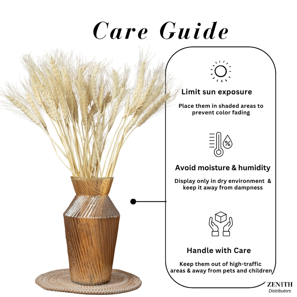 Wheat Grass | Set of 50 Sticks