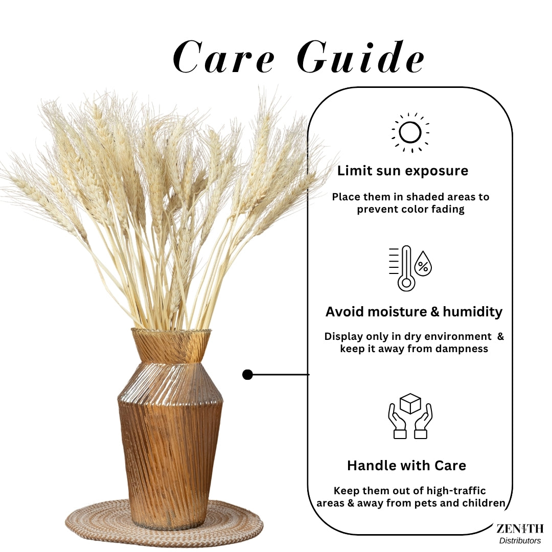 Wheat Grass | Set of 50 Sticks