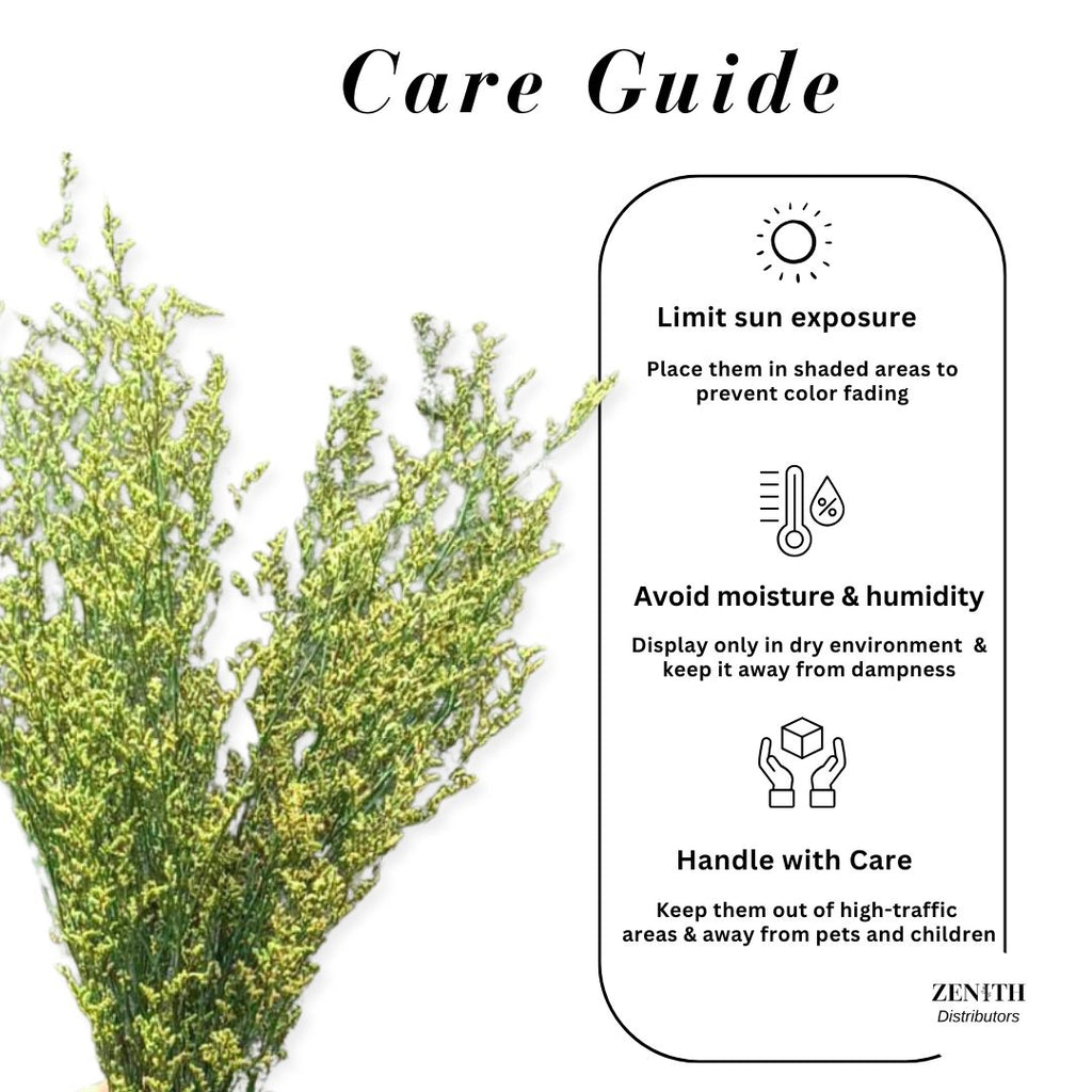 Limonium | Bunch of 100 Grams