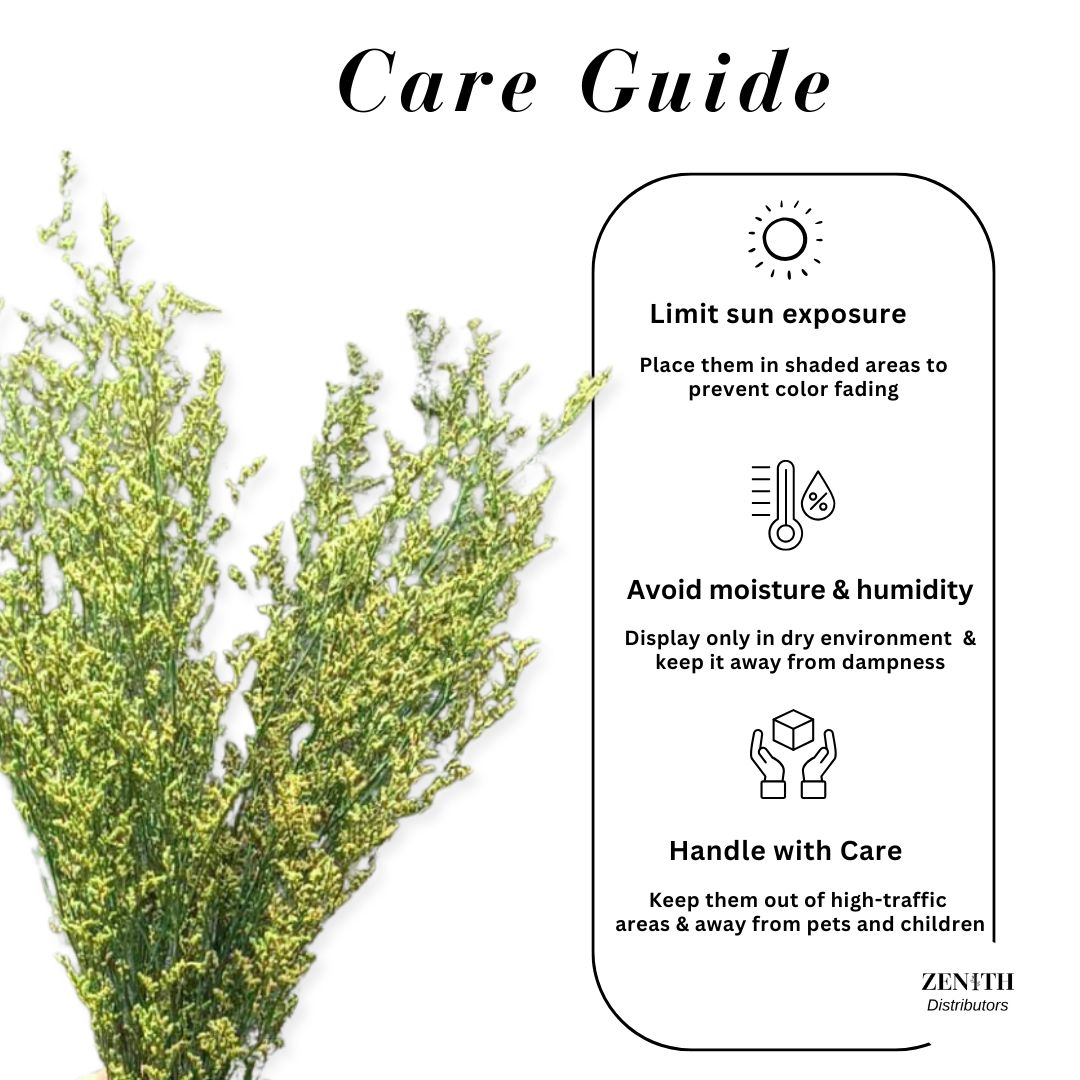 Limonium | Bunch of 100 Grams