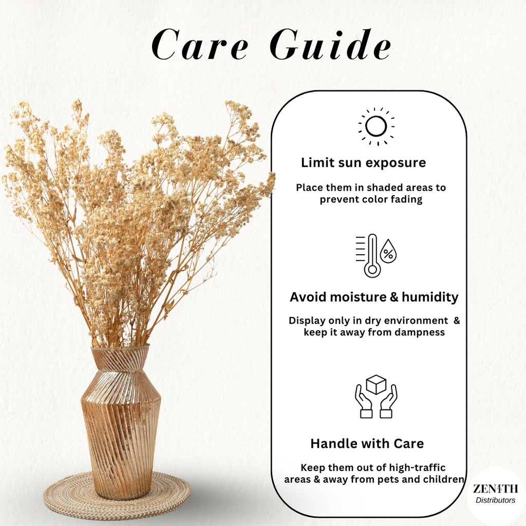 Preserved Baby's Breath | Bunch of 100 Grams