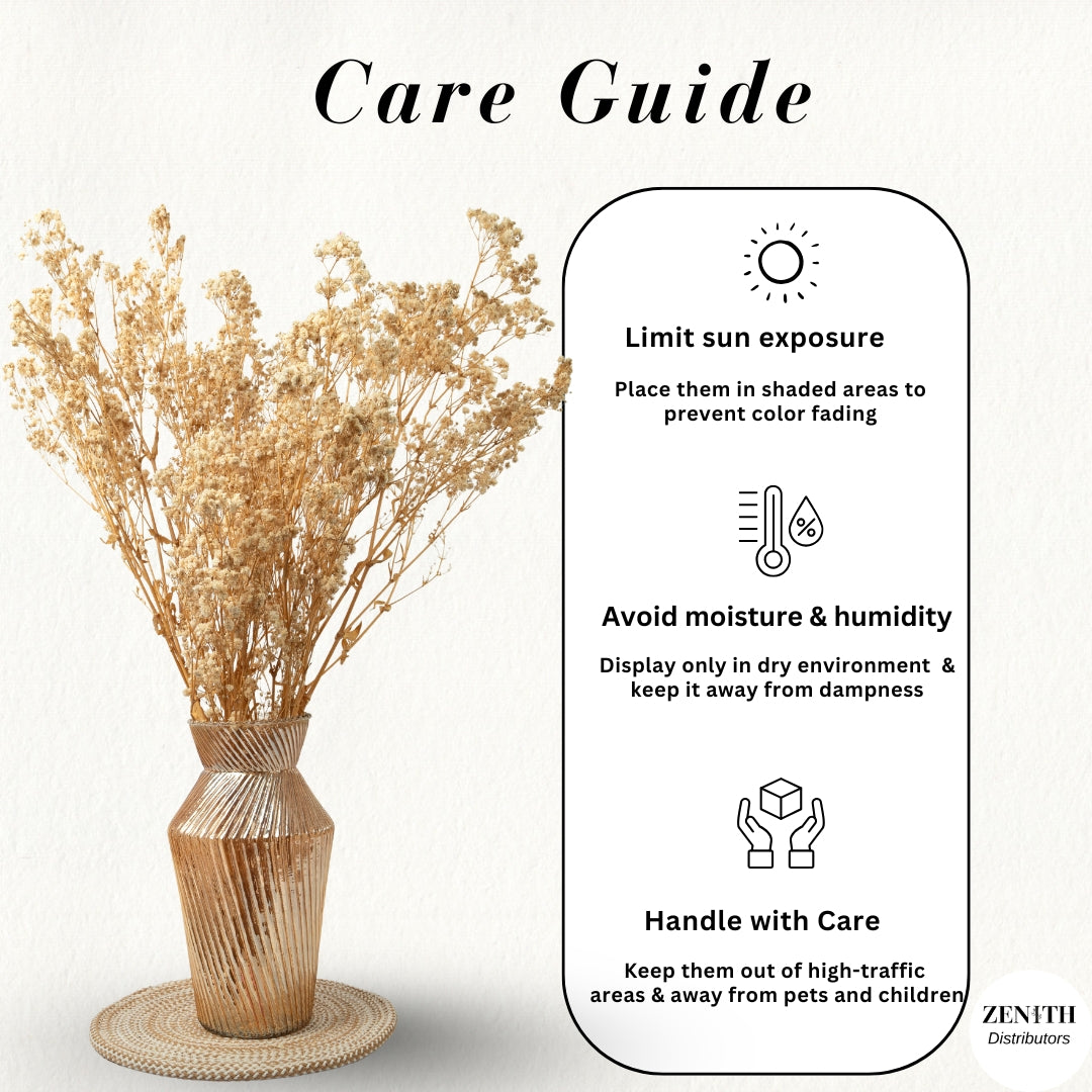 Preserved Baby's Breath | Bunch of 100 Grams