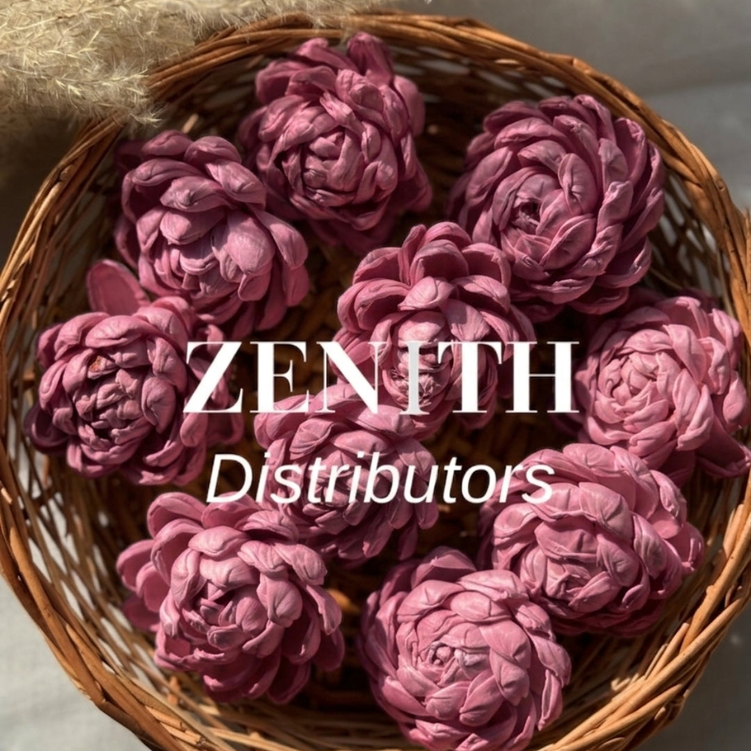 Twisted | Pack of 100 Pcs