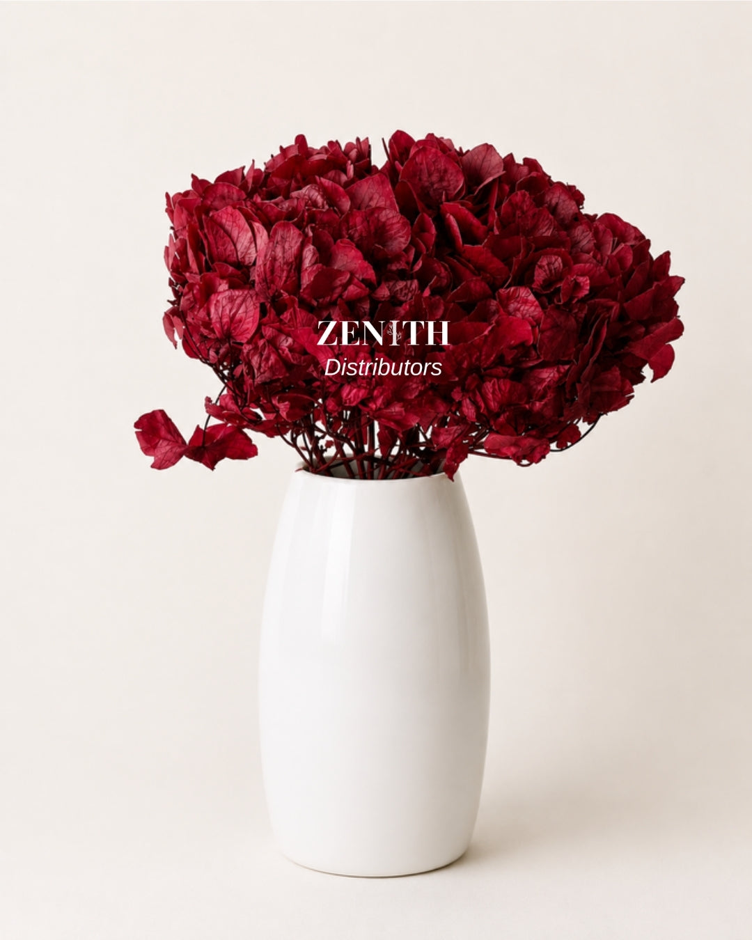 Maharaja Hydrangea
