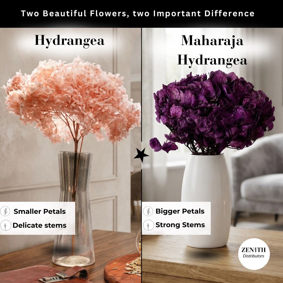 Maharaja Hydrangea | Per Bunch