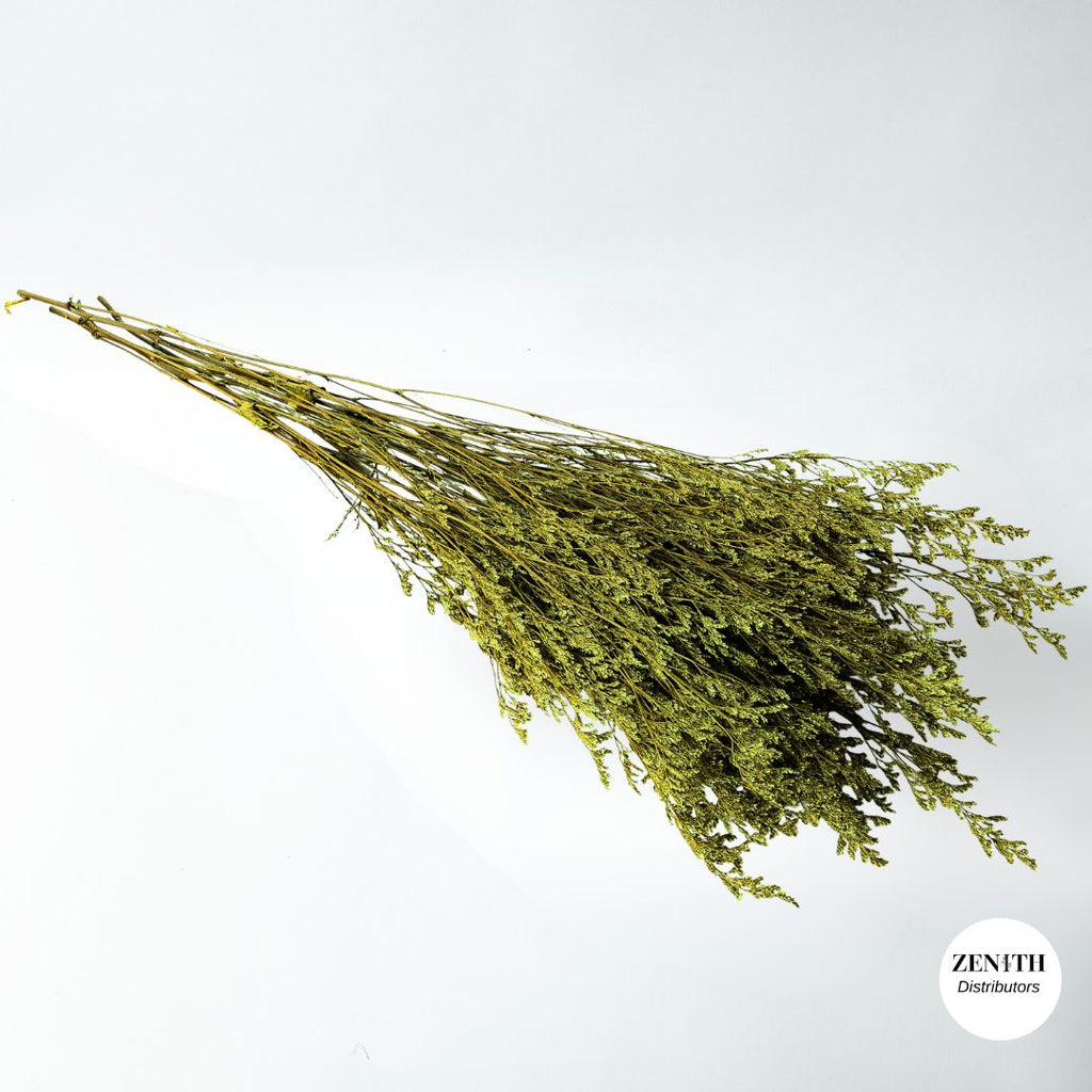 Limonium | Bunch of 100 Grams