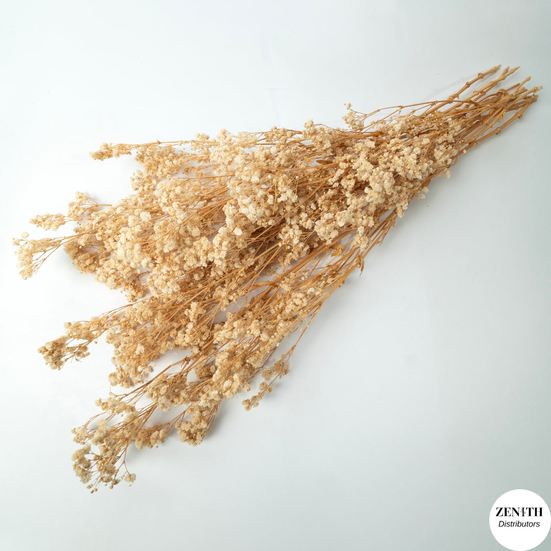 Preserved Baby's Breath | Bunch of 100 Grams