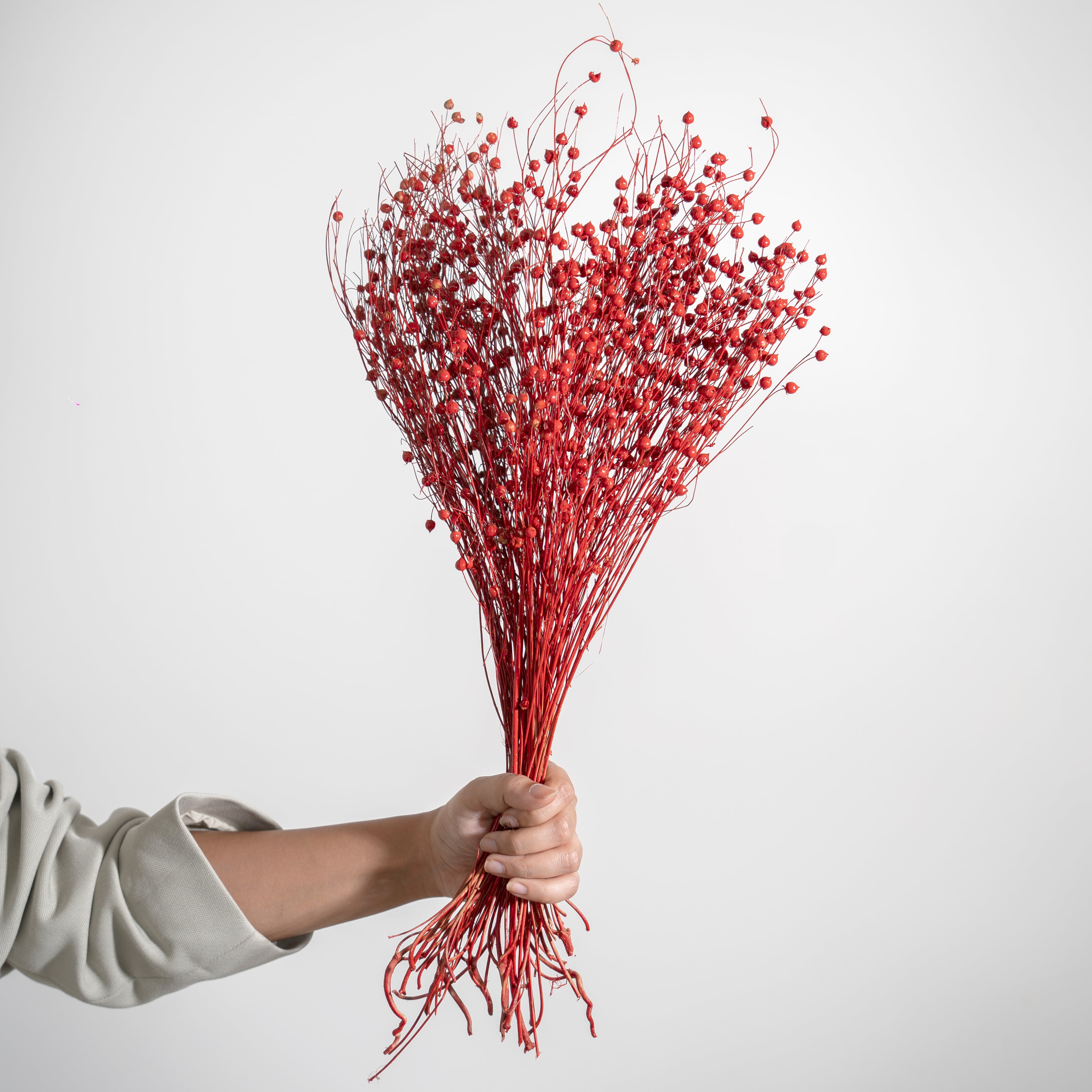 Palm Lily | Pack of 10 Pcs | Without Sticks