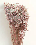 Crystal Breath