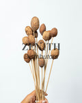 Amra Pods