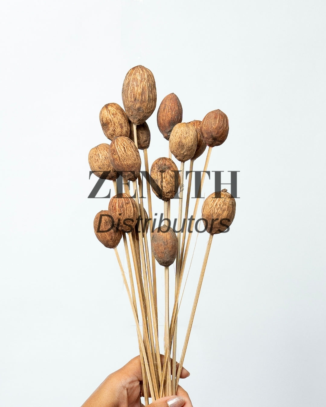 Amra Pods