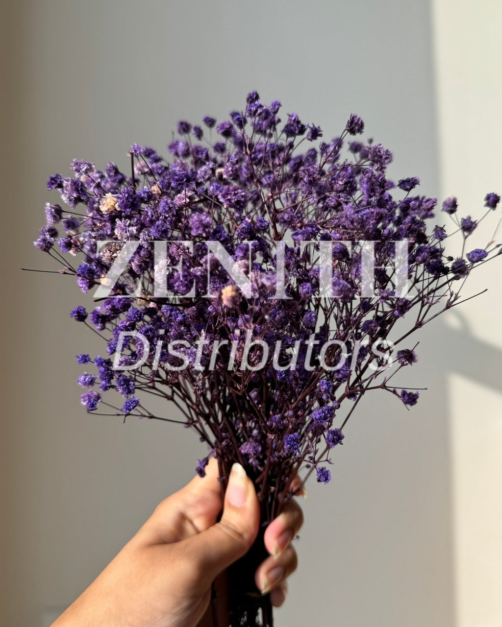 Preserved Baby's Breath | Bunch of 100 Grams