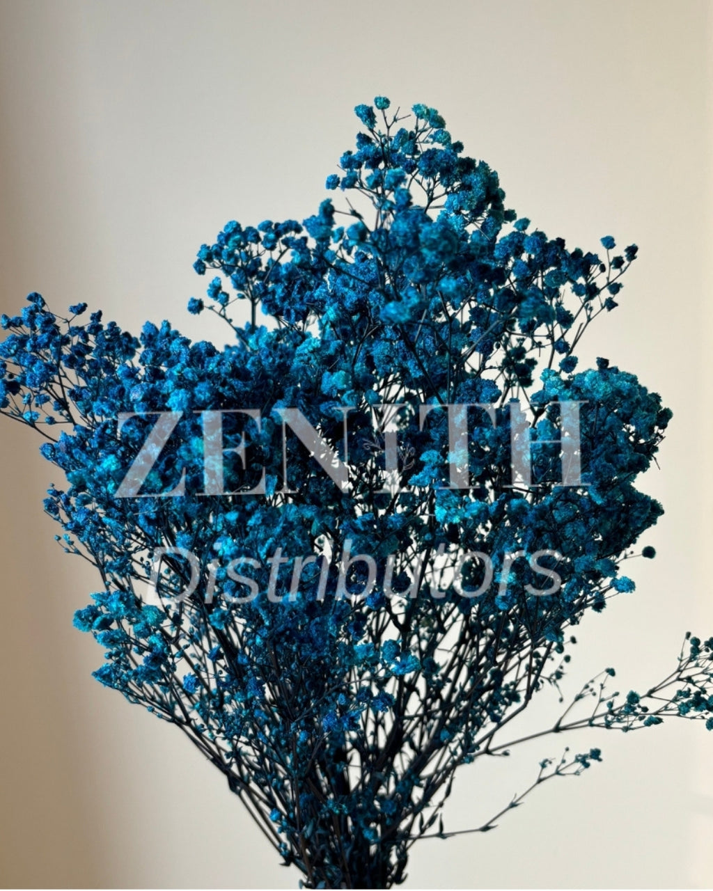 Preserved Baby's Breath | Bunch of 100 Grams
