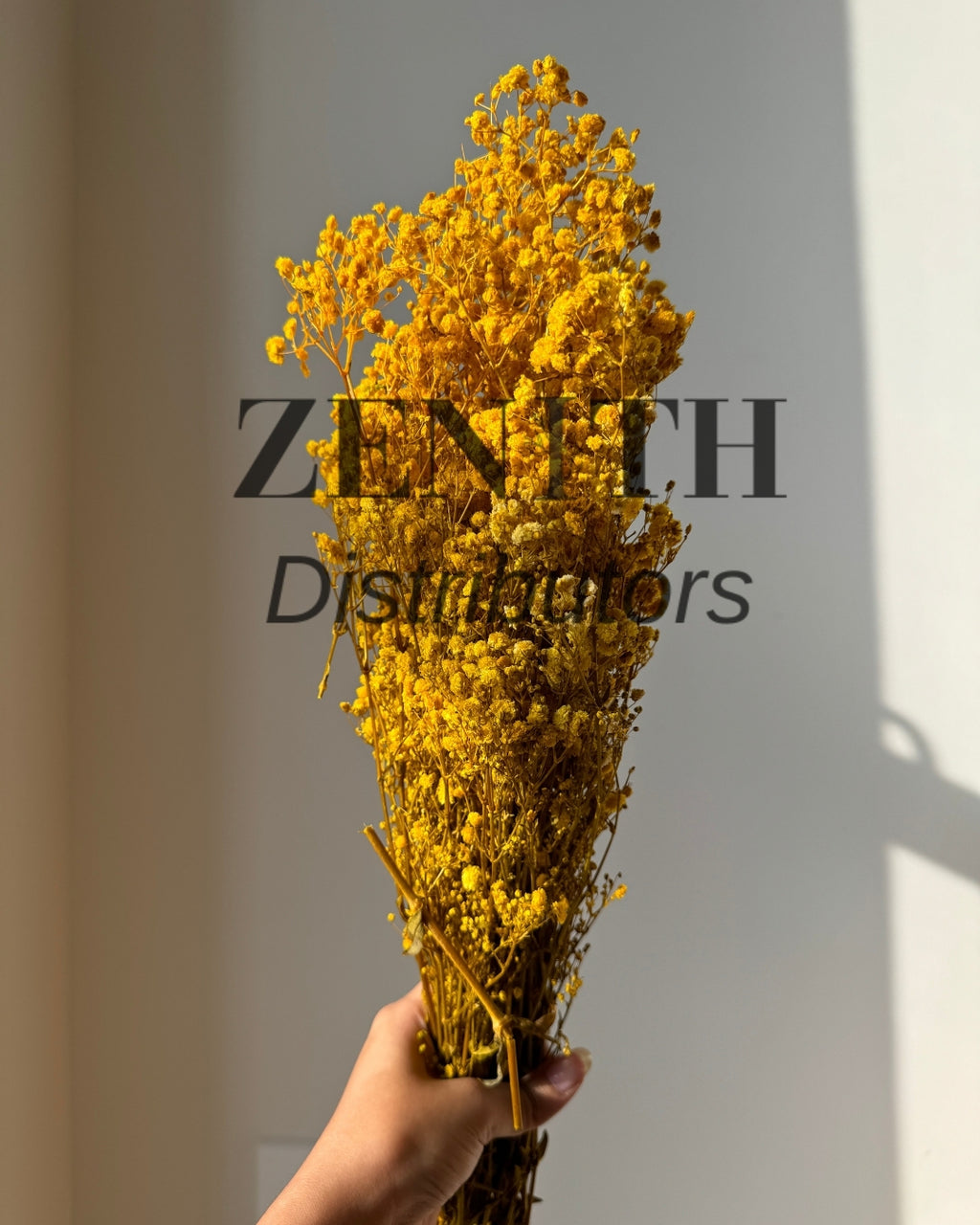 Preserved Baby's Breath | Bunch of 100 Grams