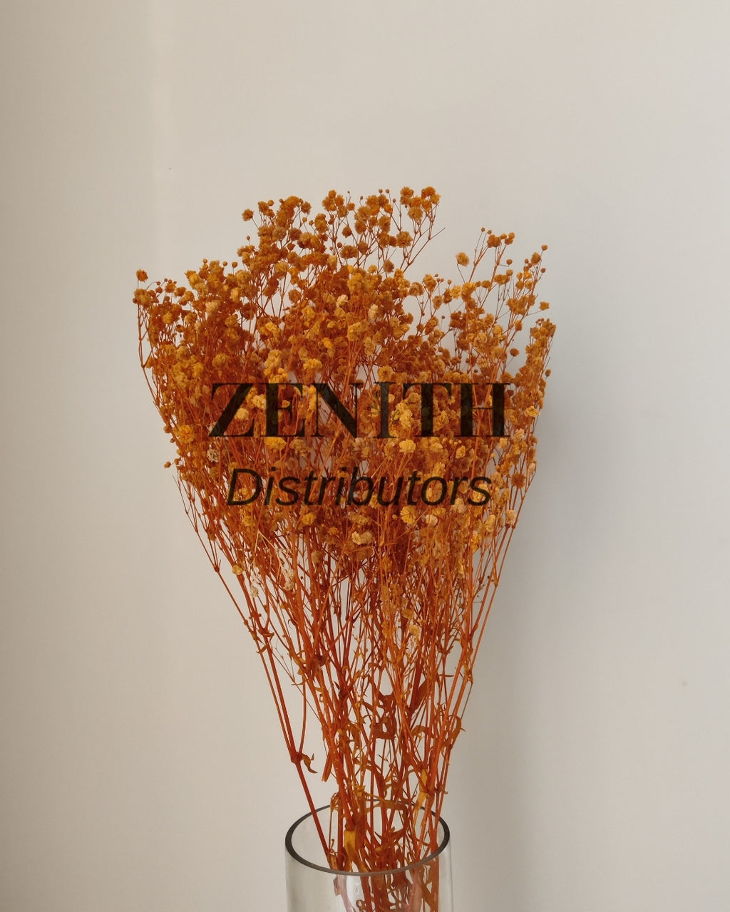 Preserved Baby's Breath | Bunch of 100 Grams