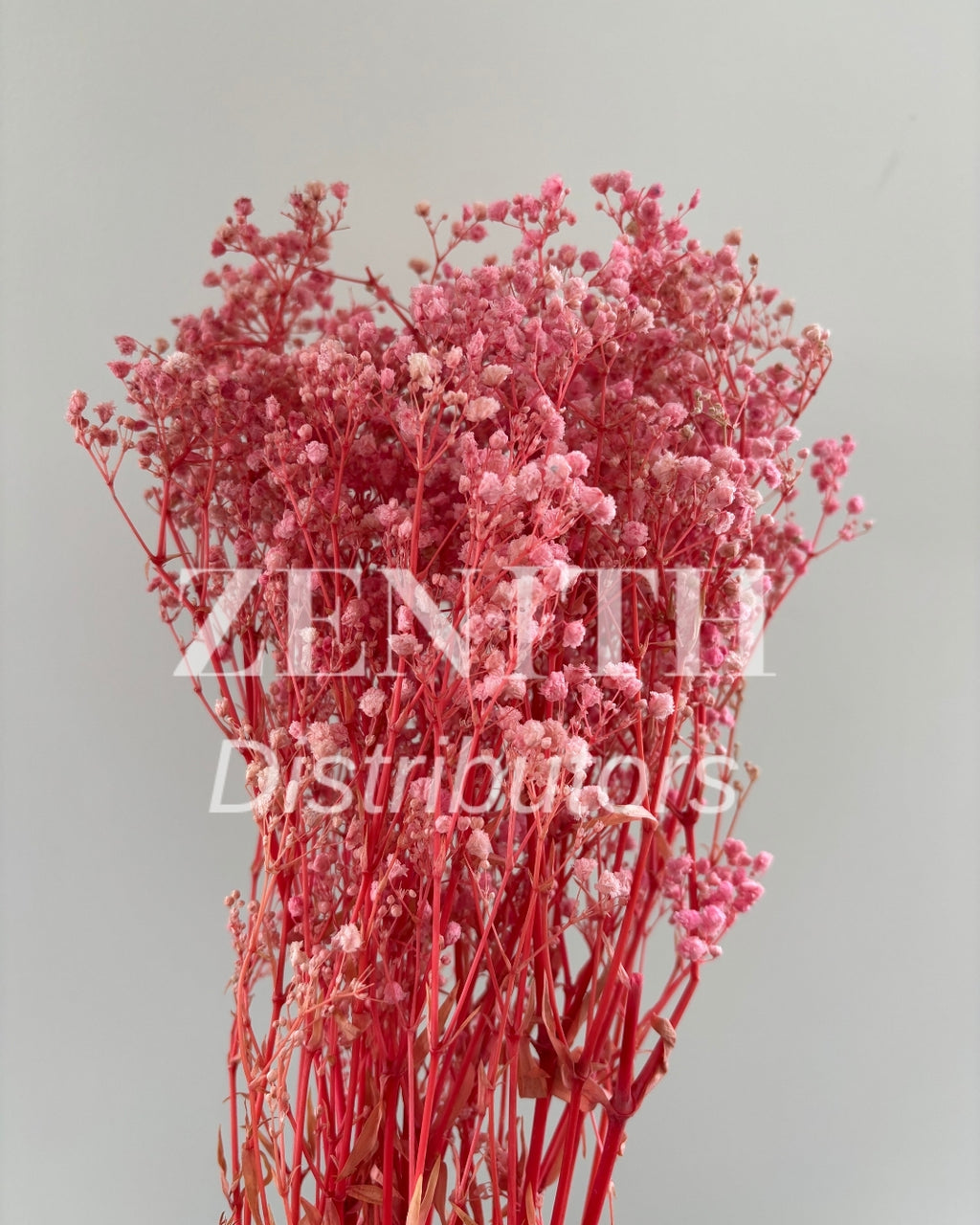 Preserved Baby's Breath | Bunch of 100 Grams