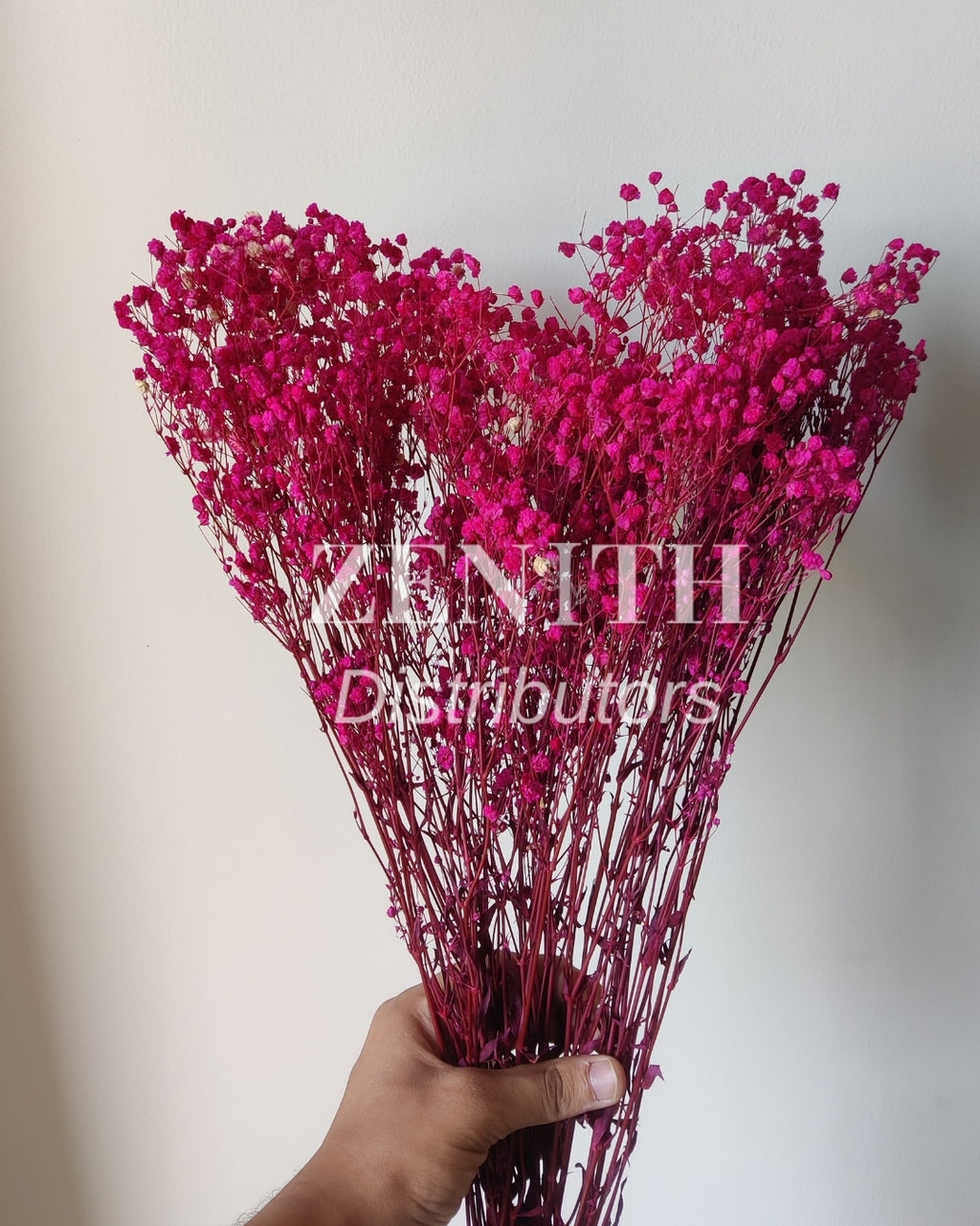 Preserved Baby's Breath | Bunch of 100 Grams