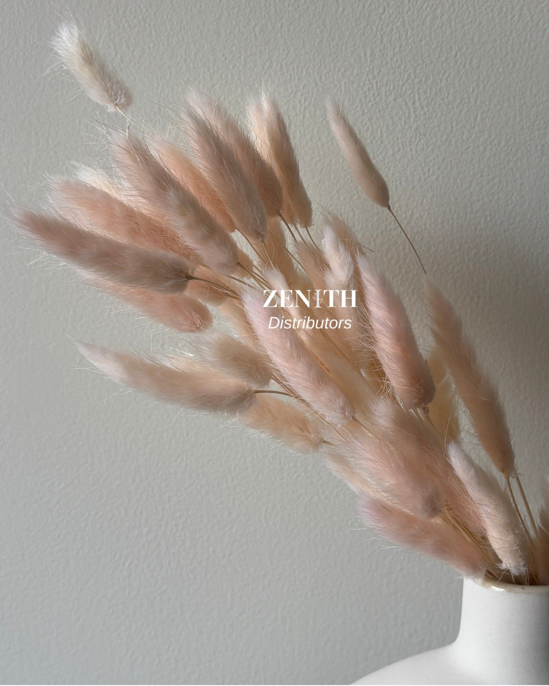 Bunny Tails/Lagurus