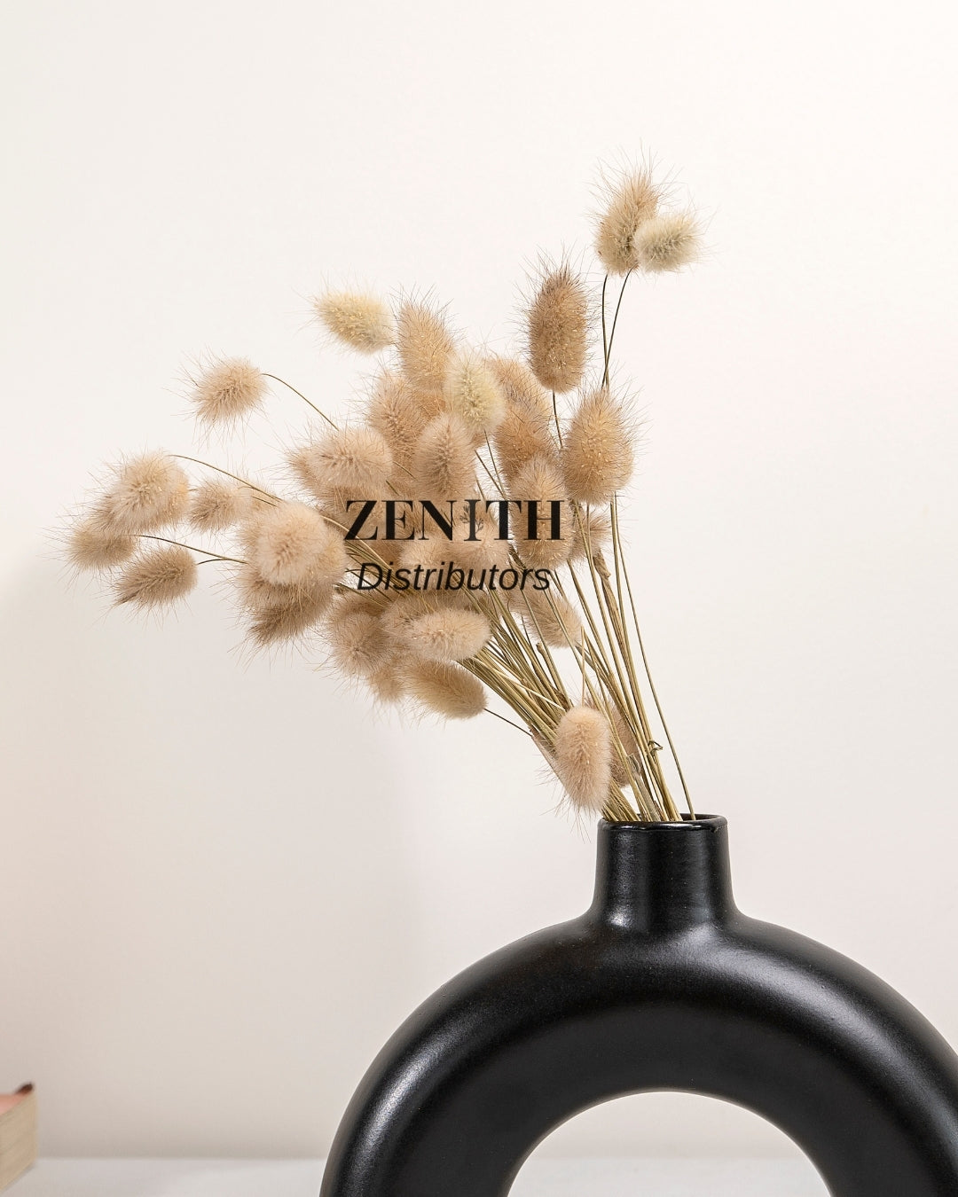 Bunny Tails | Bunch of 50 Stems