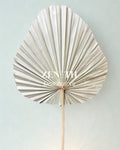 Medium Spear Palm