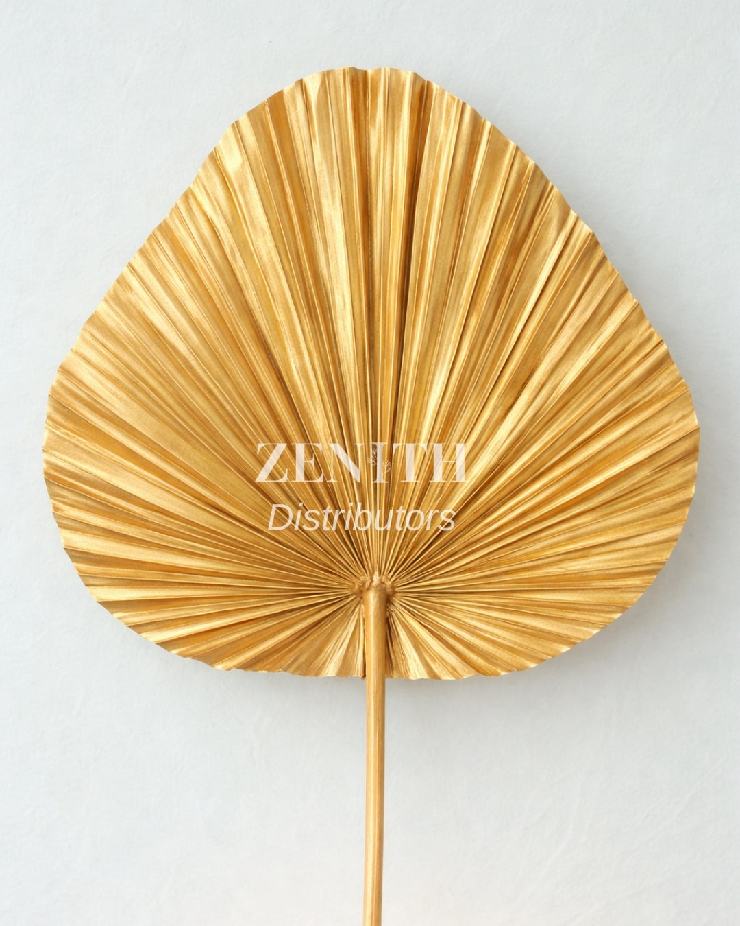 Medium Spear Palm | Set of 20 Sticks
