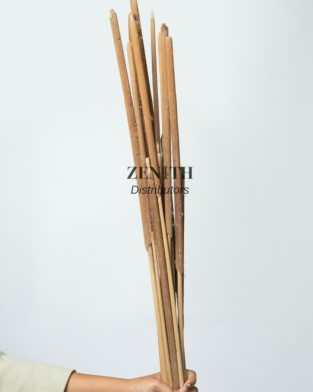 Cattails