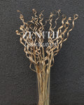 Curly Palm Open