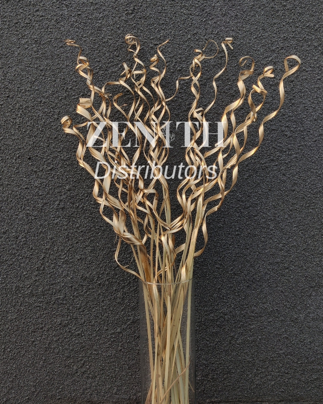 Curly Palm Open