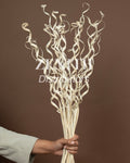 Curly Palm Open | Set of 20 Sticks