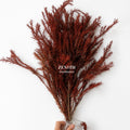Forest Grass