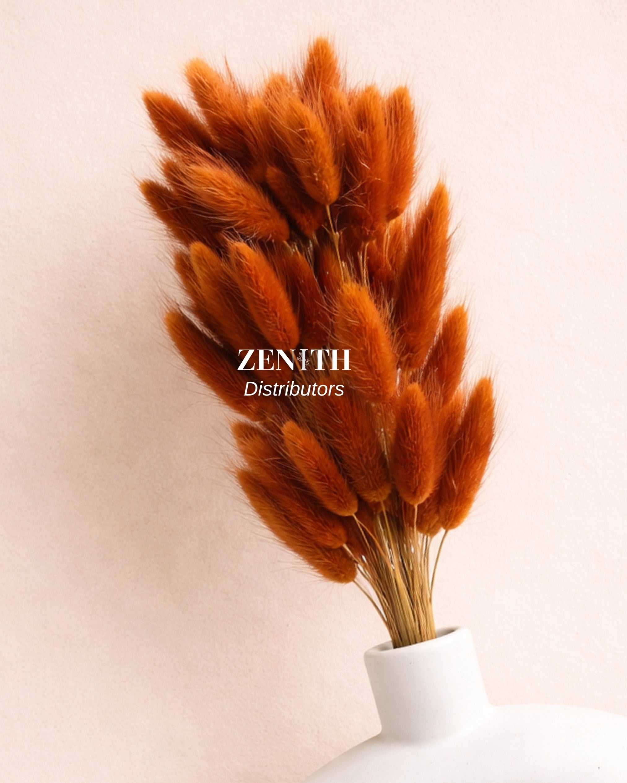 Bunny Tails/Lagurus