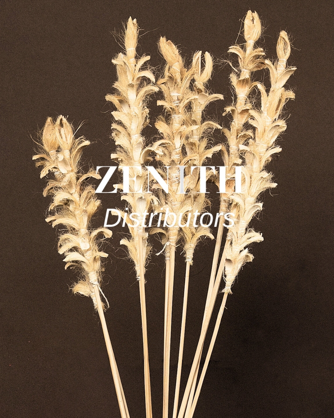 Ginger Stems | Set of 10 Sticks