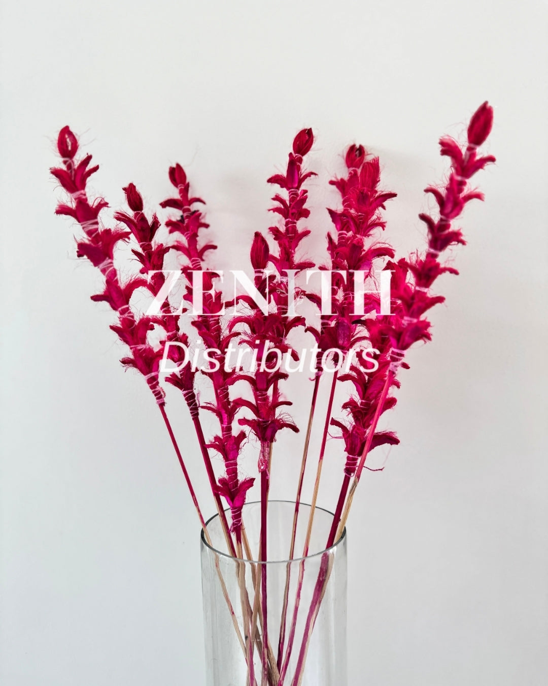Ginger Stems