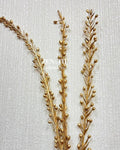 Sparkle Stems