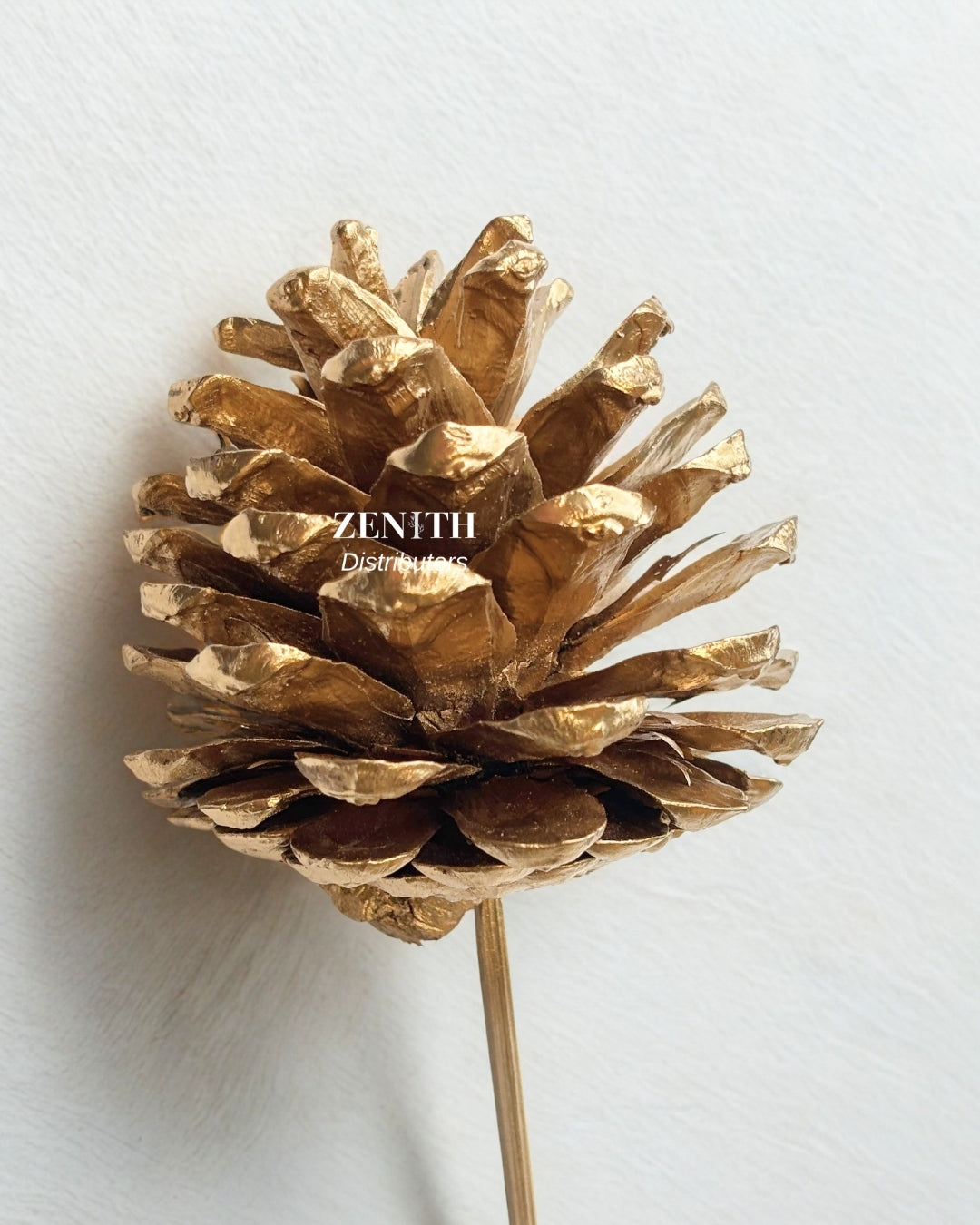 Pine Cone | Pack of 10 Pcs | Without Sticks