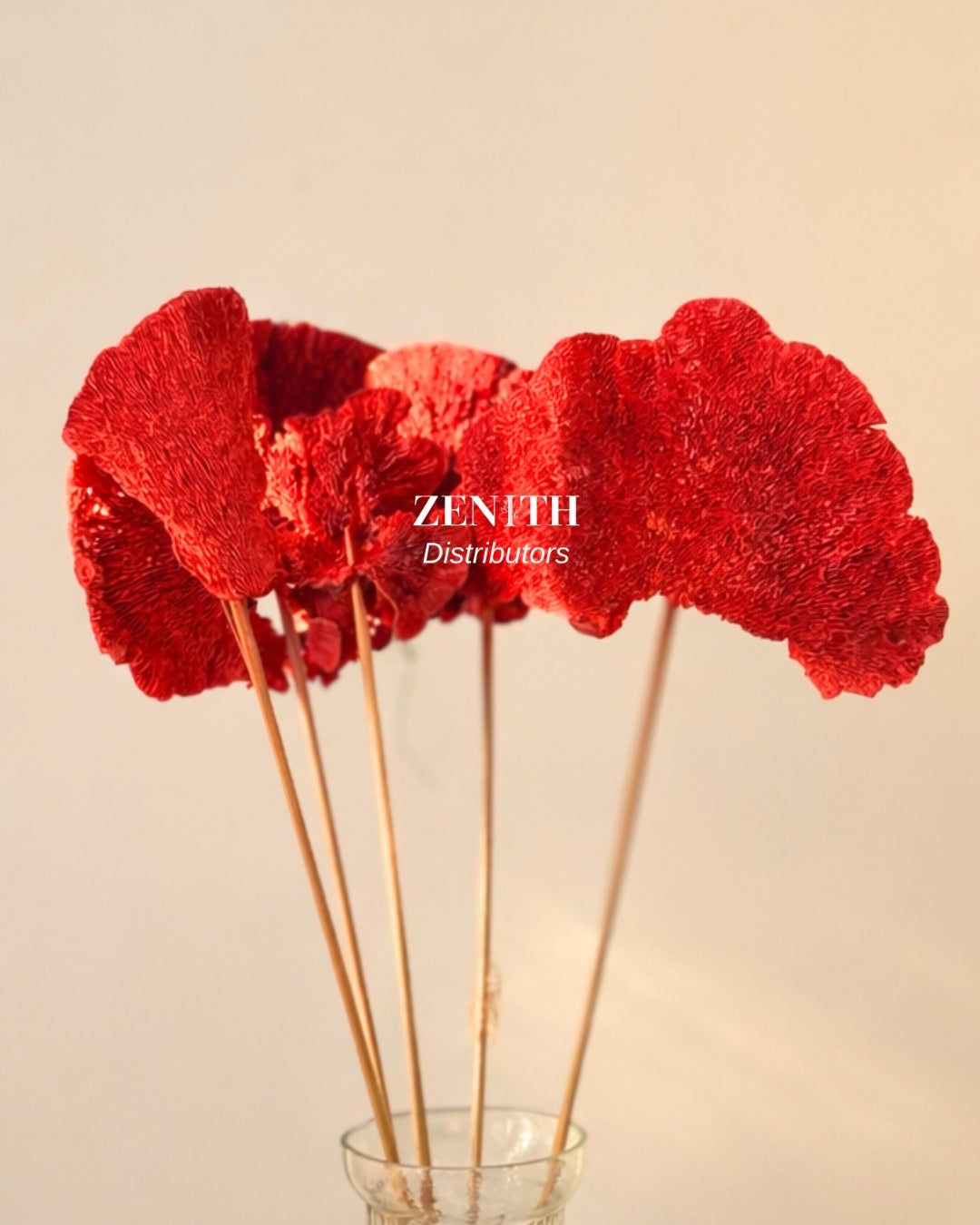 Mushroom | Pack of 10 Pcs | Without Sticks