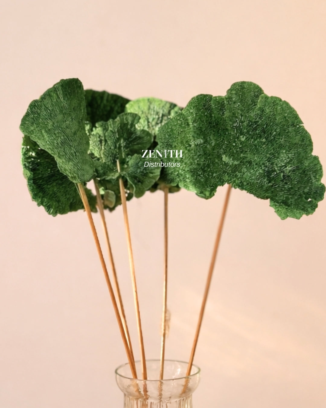 Mushroom | Pack of 10 Pcs | Without Sticks