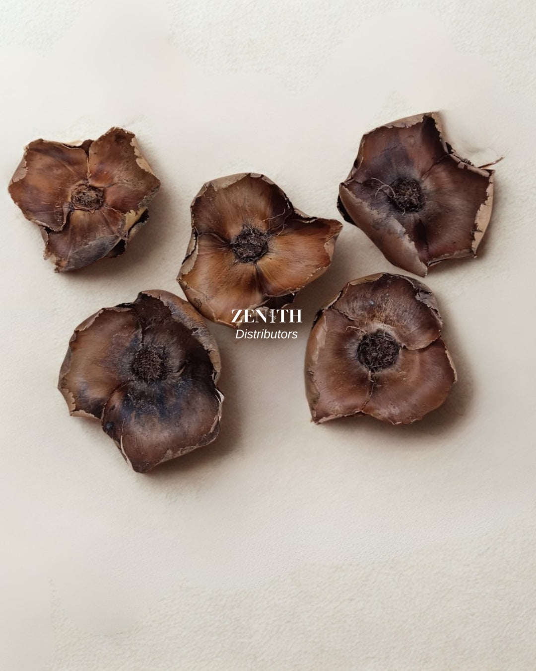 Palm Blute- without sticks