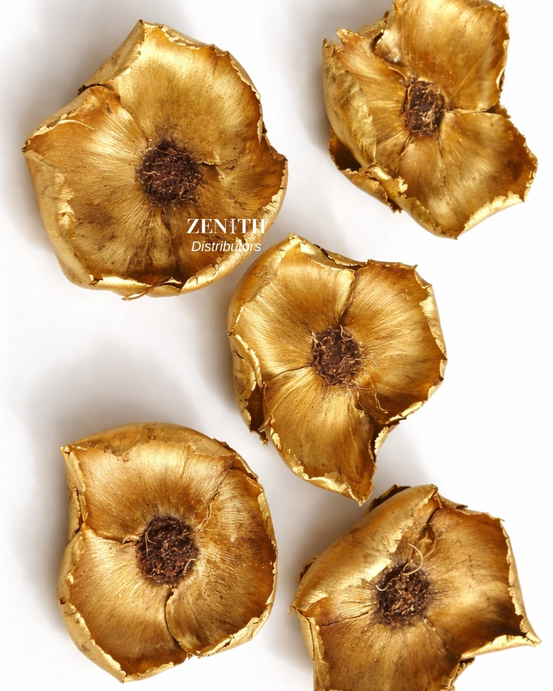 Palm Blute | Pack of 10 Pcs | Without Sticks
