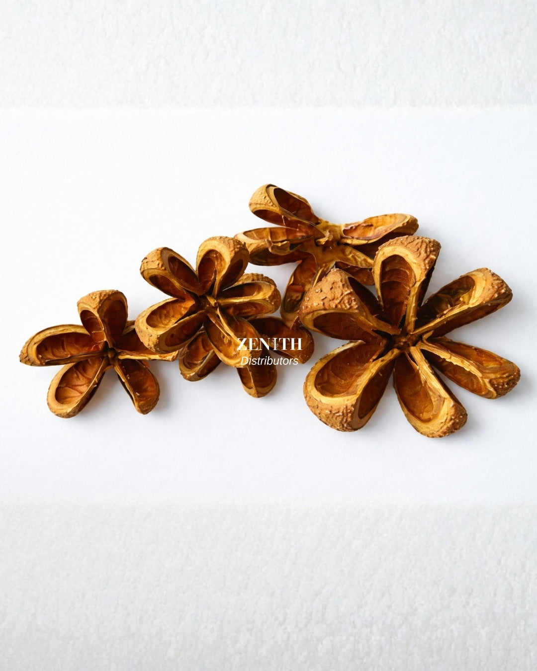 Jungle Pod | Pack of 10 Pcs | Without Sticks