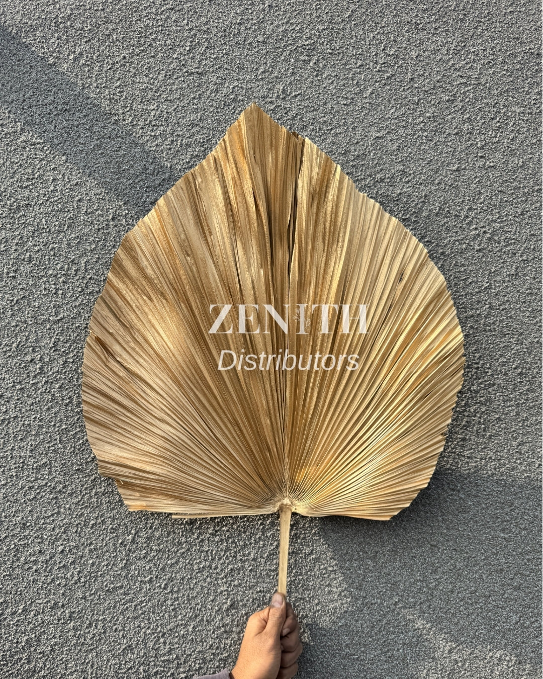 Jumbo Fan Palm | Set of 20 Sticks