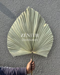 Jumbo Fan Palm
