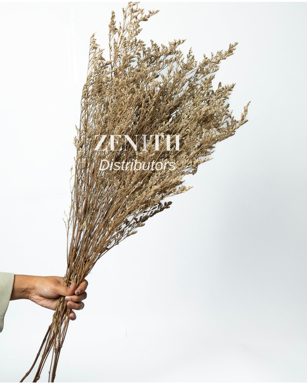 Limonium | Bunch of 100 Grams
