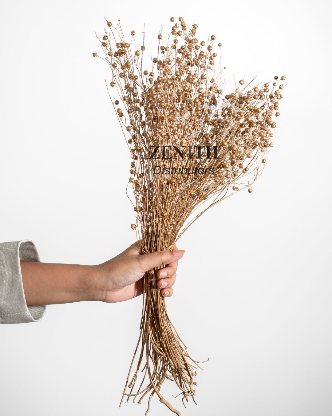 Tishi/LinumFlax