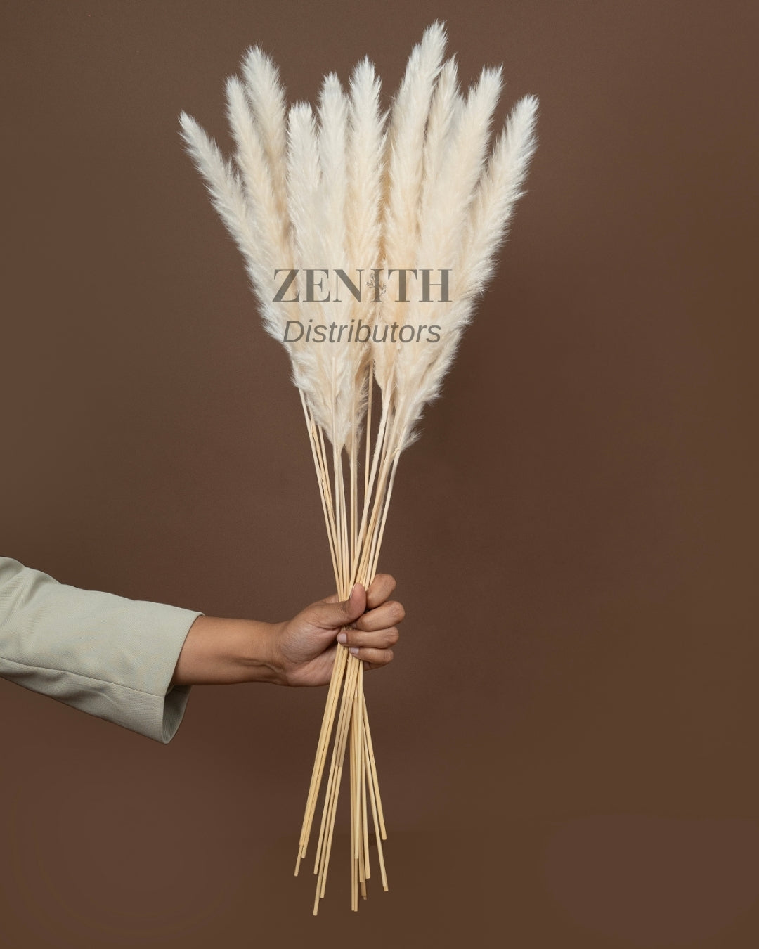 Mini Pampas Grass