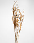 Palm Three Finger (Golden)