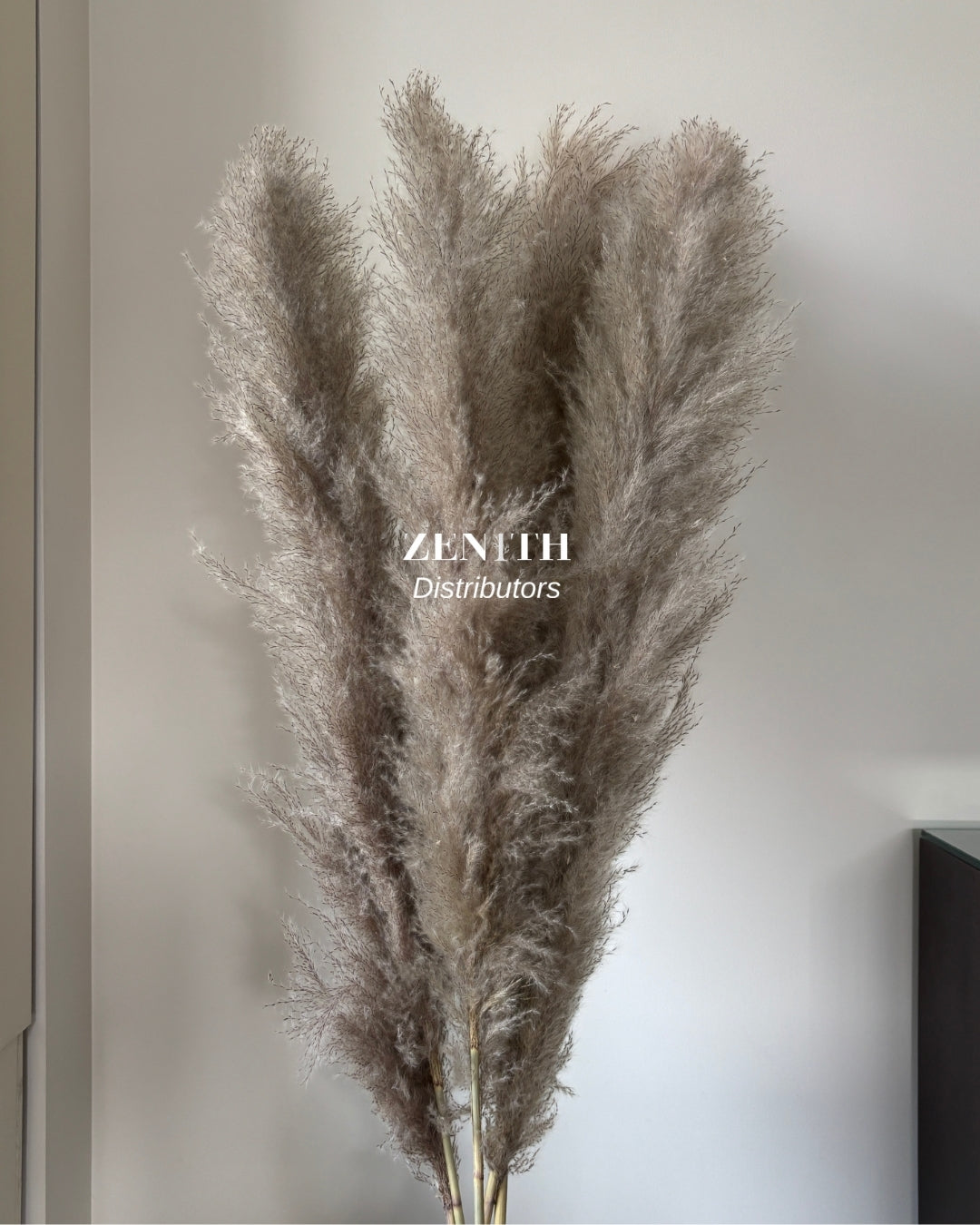 Fluffy Pampas Grass | Set of 20 Sticks