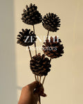 Pine Cone- without sticks