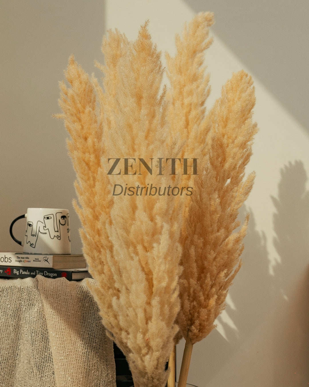 Regular Pampas Grass